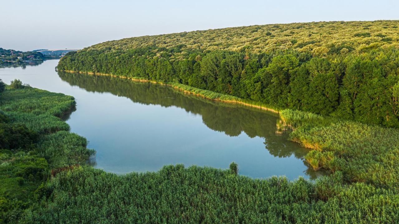 Вила Теkето I Vila Teketo Family Guest House Nikolovo Buitenkant foto