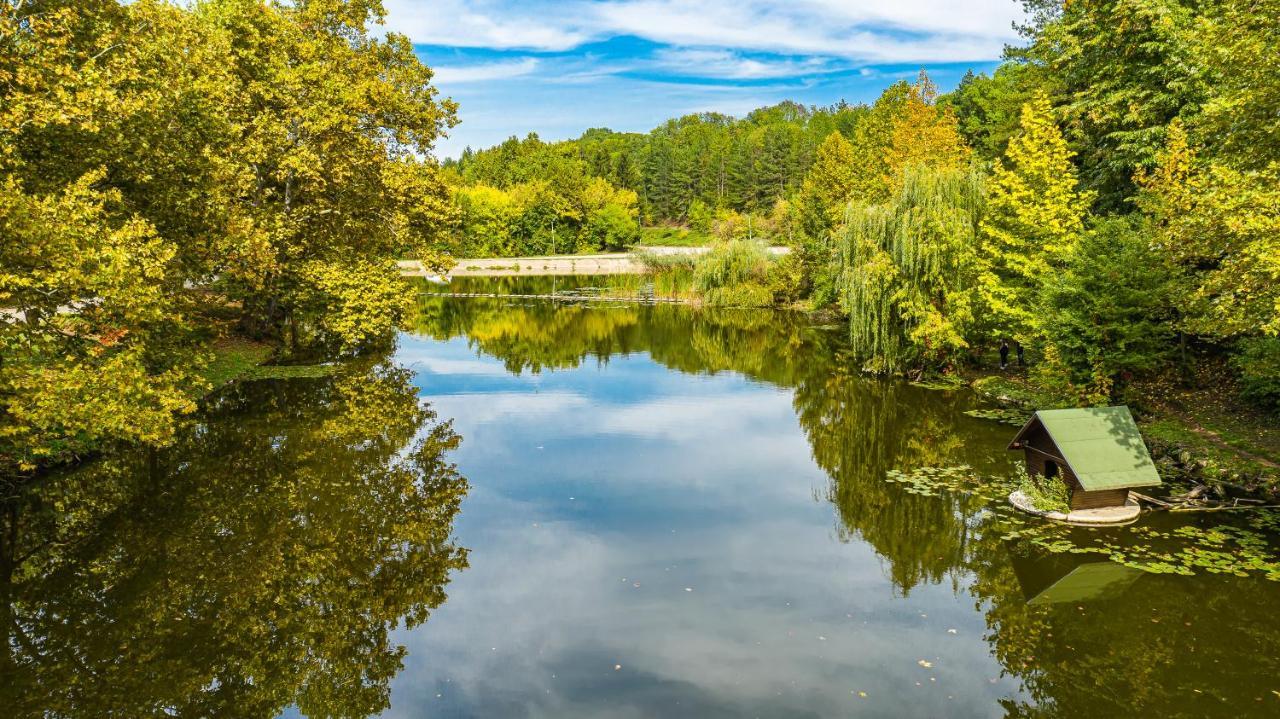 Вила Теkето I Vila Teketo Family Guest House Nikolovo Buitenkant foto